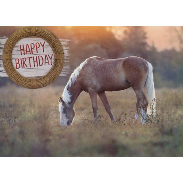 Peaceful Moments Birthday Boxed Cards FT22585 For Cheap - Image 4