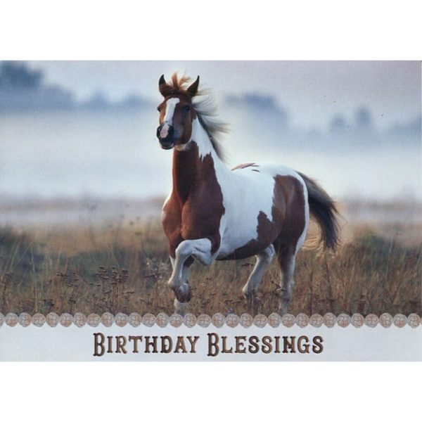 Peaceful Moments Birthday Boxed Cards FT22585 For Cheap - Image 2